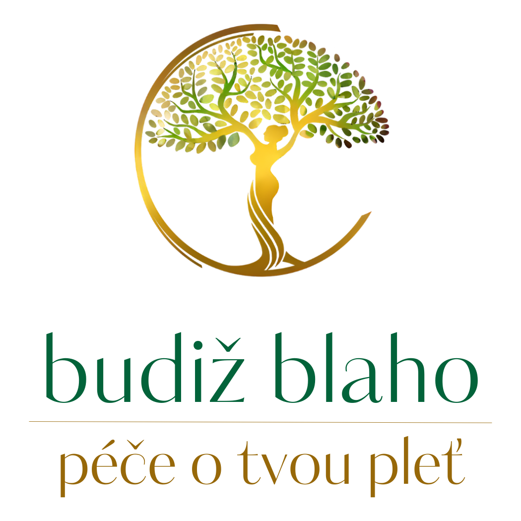 webdesign reference - Budiž blaho