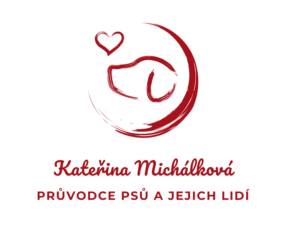 webdesign  reference - Průvodce psů