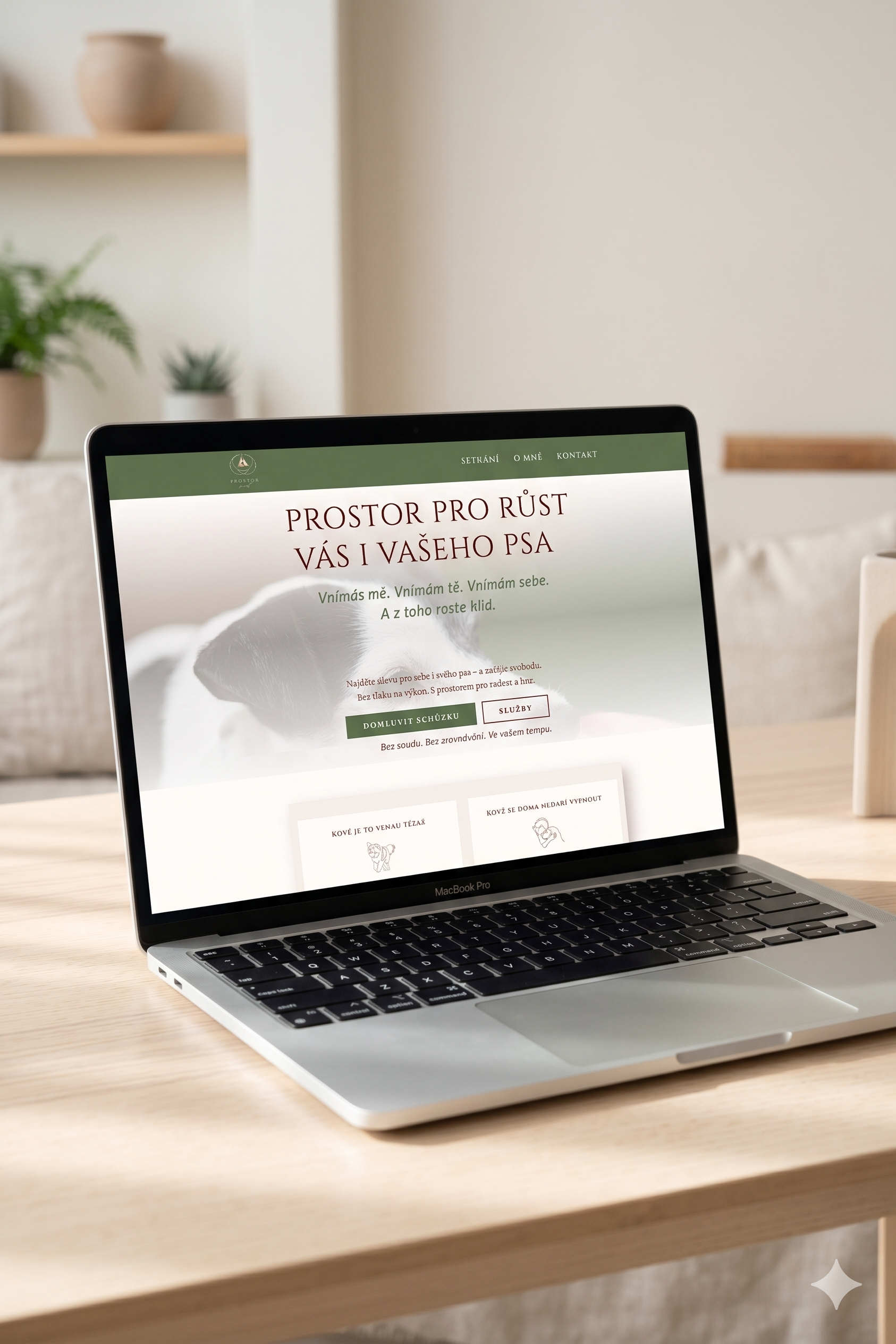 Tvorba webu a vizuální tvář značky