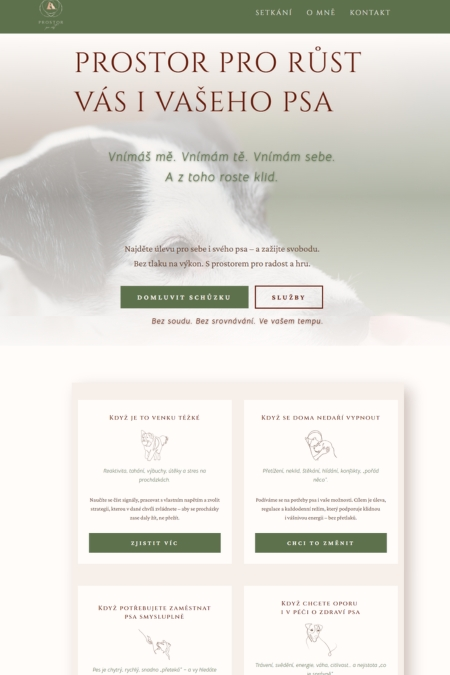 web do 5 stránek